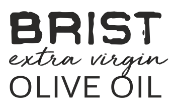 brist_logo
